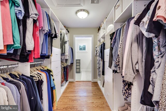 3207 19th St N, Arlington, VA 22201 - walk in closet with light wood-style floors