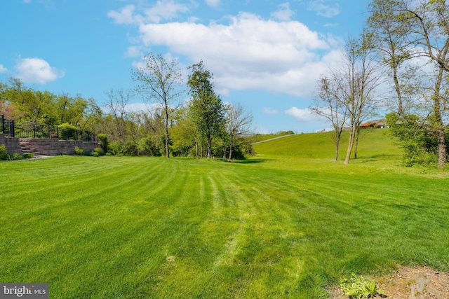 239 Abishire Way, Chambersburg, PA 17202 - view of yard