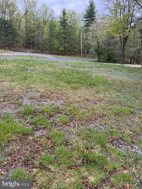 view of yard featuring a forest view