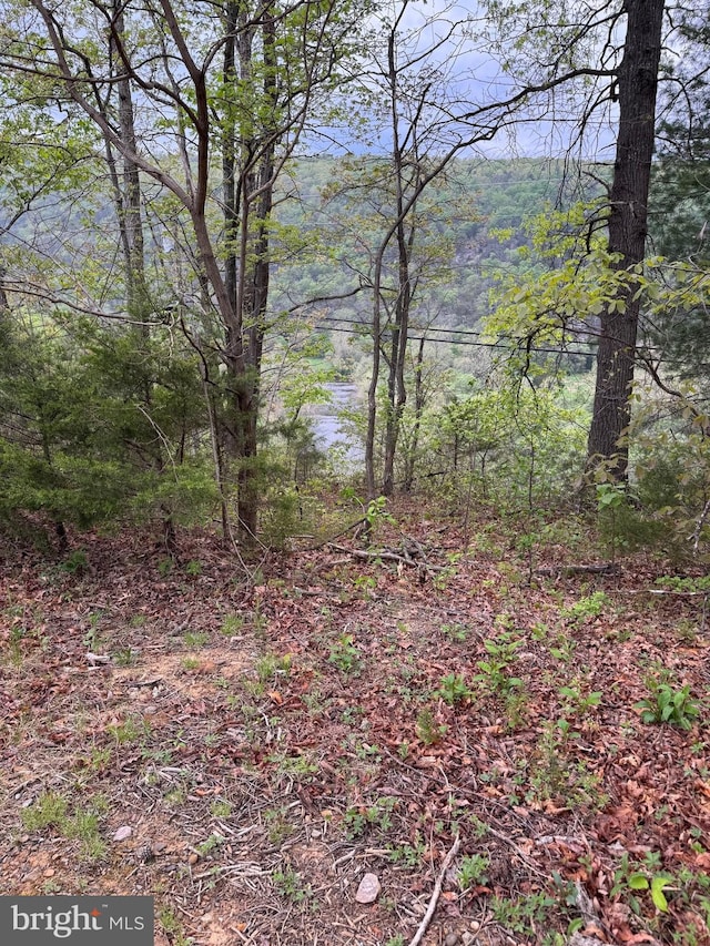 view of landscape featuring a wooded view