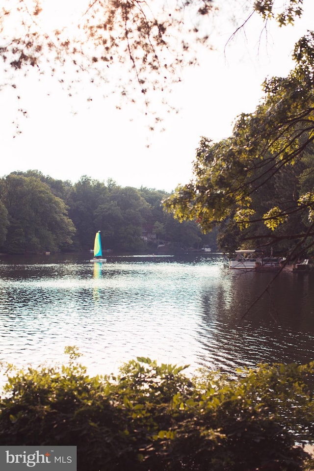 3416 Rustic Way Ln, Falls Church, VA 22044 - water view featuring a heavily wooded area