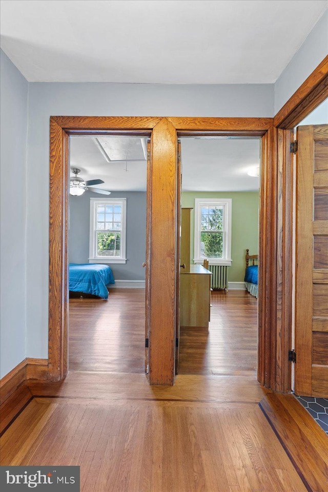 226 Washington Ter, Audubon, NJ 08106 - hall with hardwood / wood-style floors, baseboards, and radiator