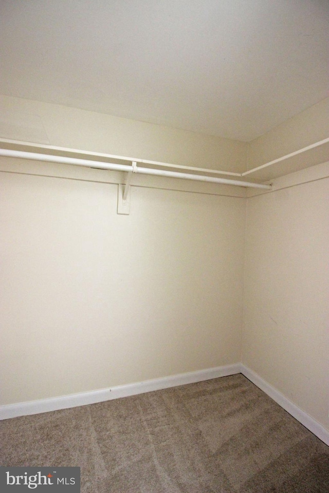 walk in closet featuring carpet flooring