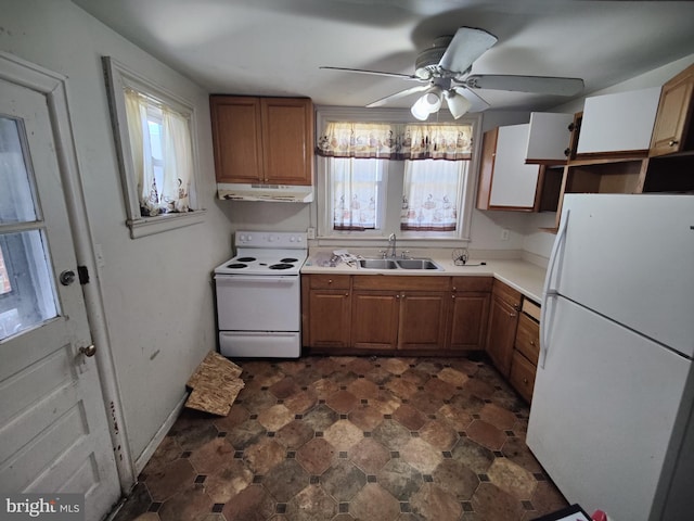 kitchen featuring brown cabinetry, white appliances, ceiling fan, under cabinet range hood, and a sink