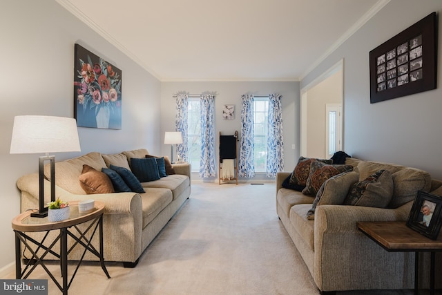 carpeted living area featuring baseboards and ornamental molding
