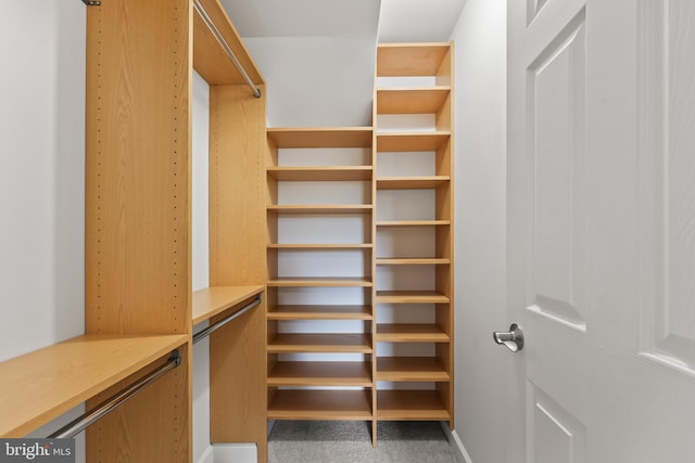 1521 N Van Dorn St, Alexandria, VA 22304 - view of spacious closet