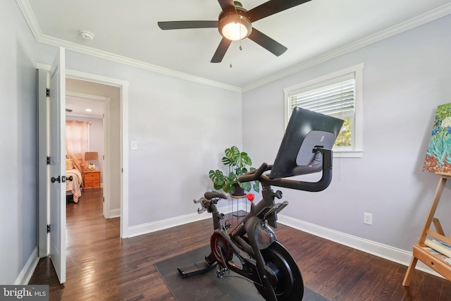 workout area with a ceiling fan, ornamental molding, baseboards, and wood finished floors