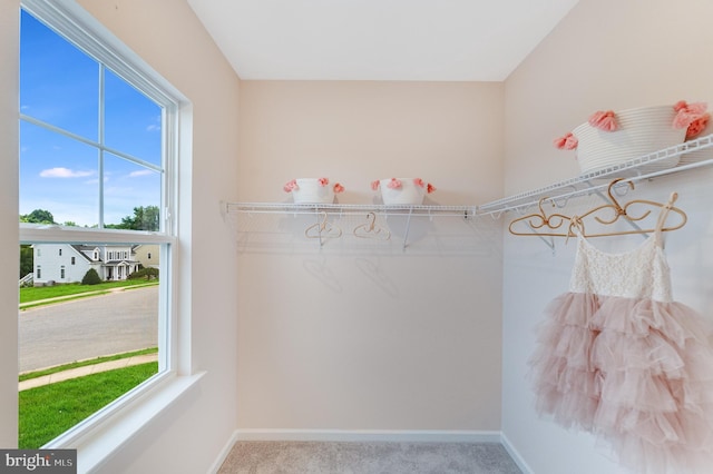 walk in closet with carpet