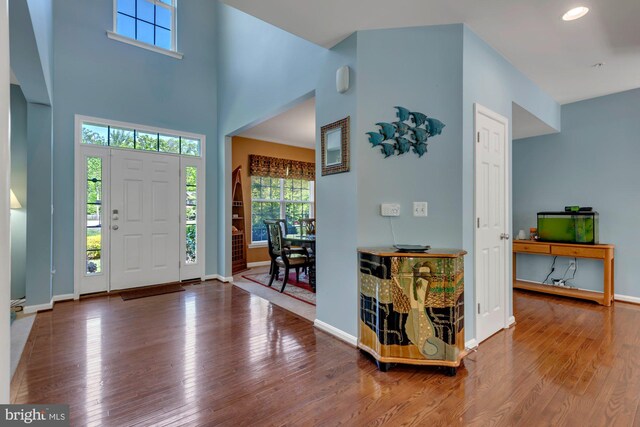 foyer entrance with baseboards, a healthy amount of sunlight, and hardwood / wood-style floors