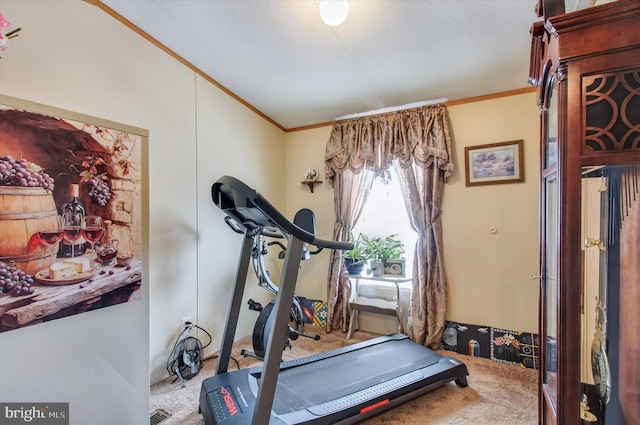 workout area featuring crown molding, carpet flooring, and a textured ceiling
