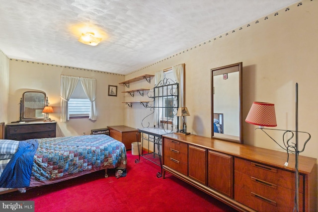 621 Gay St, Hanover, PA 17331 - bedroom with carpet floors and a textured ceiling