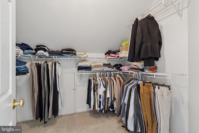 spacious closet with light carpet