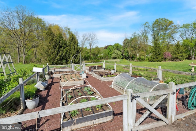 view of yard with fence, a gate, and a vegetable garden