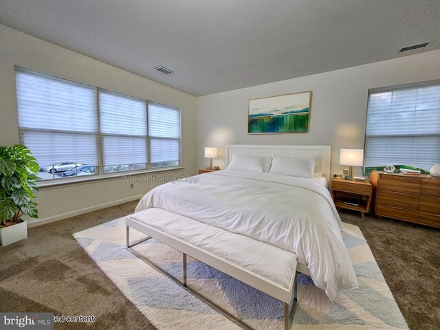 6620 Lake Park Dr Unit 2D 201, Greenbelt, MD 20770 - bedroom featuring carpet flooring and baseboards