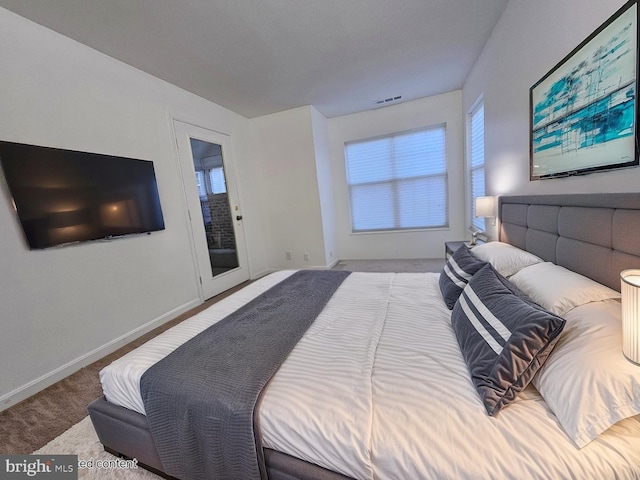 6620 Lake Park Dr Unit 2D 201, Greenbelt, MD 20770 - bedroom featuring baseboards, multiple windows, and carpet floors