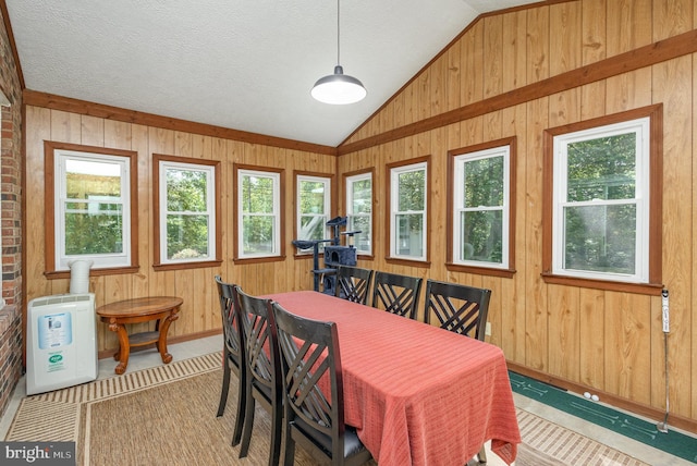 dining room featuring baseboards, lofted ceiling, and wooden walls