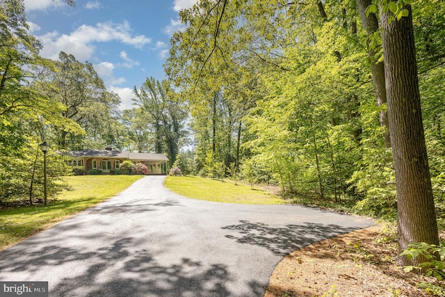 view of community featuring a yard, driveway, and a wooded view