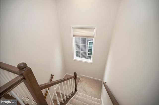 staircase with carpet floors and baseboards
