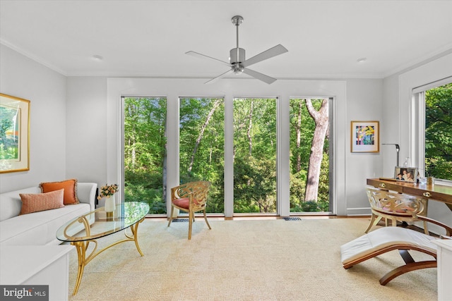 2871 Audubon Ter NW, Washington, DC 20008 - view of sunroom