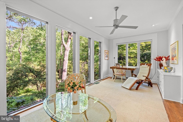2871 Audubon Ter NW, Washington, DC 20008 - sunroom / solarium with baseboards, recessed lighting, crown molding, and wood finished floors