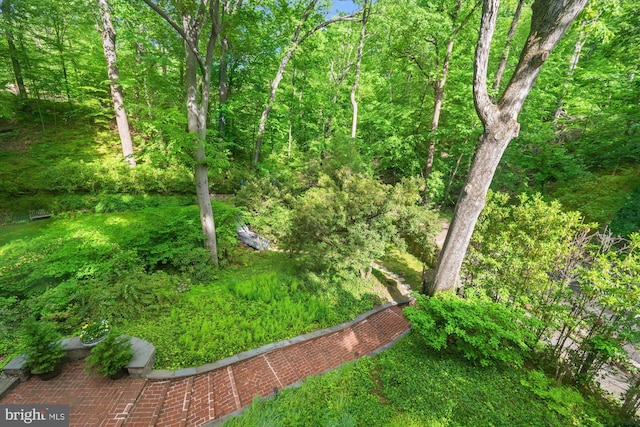 2871 Audubon Ter NW, Washington, DC 20008 - view of yard