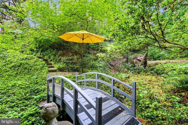 2871 Audubon Ter NW, Washington, DC 20008 - view of community