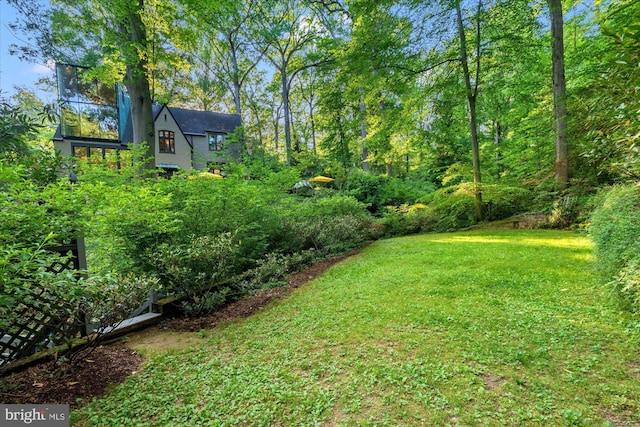 2871 Audubon Ter NW, Washington, DC 20008 - view of yard