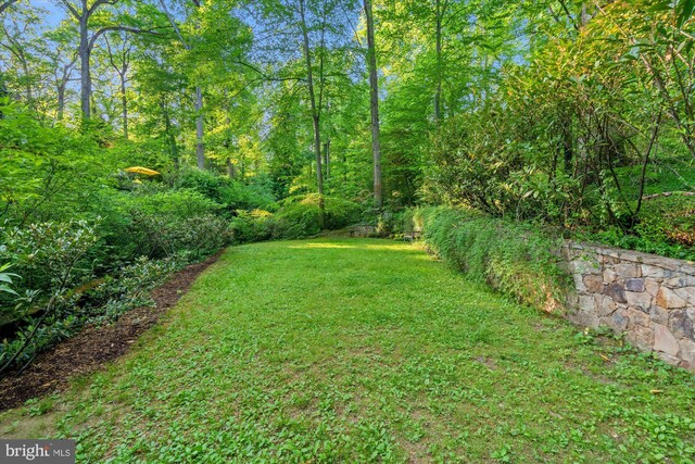 2871 Audubon Ter NW, Washington, DC 20008 - view of yard