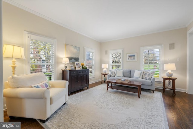 living room featuring crown molding, baseboards, and wood finished floors