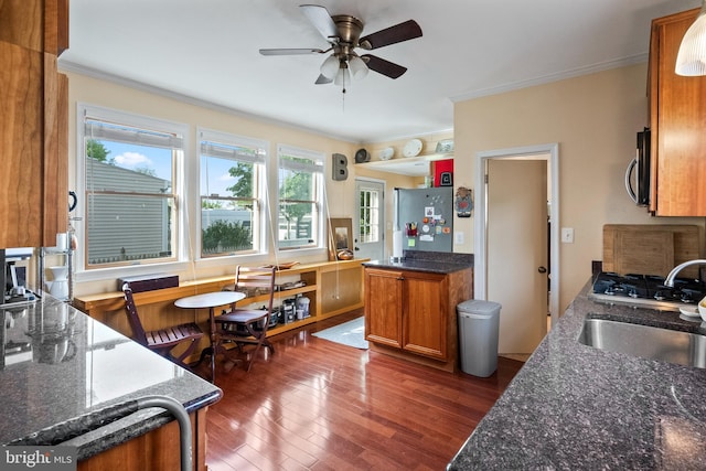kitchen with a sink, crown molding, stainless steel appliances, and ceiling fan
