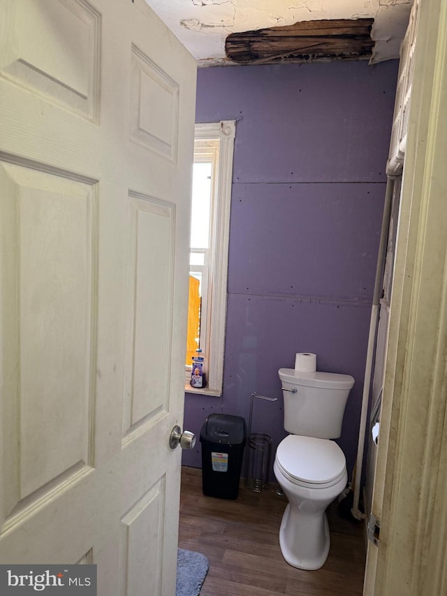 bathroom with wood finished floors and toilet