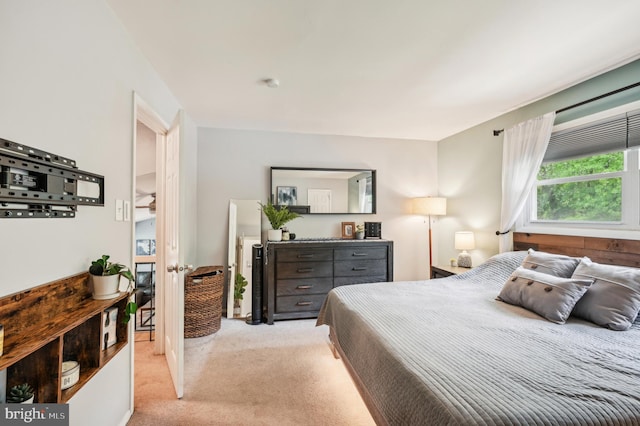 bedroom with carpet floors