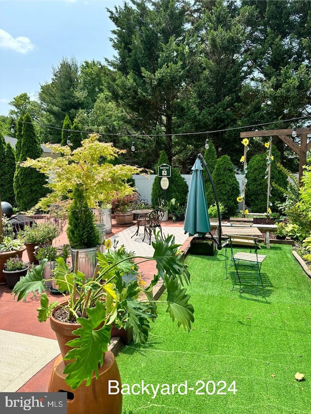 view of community with a patio and a yard