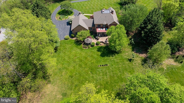 bird's eye view