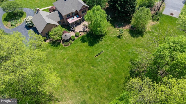 bird's eye view