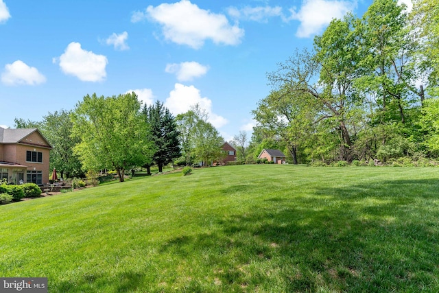 view of yard