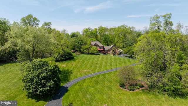 bird's eye view