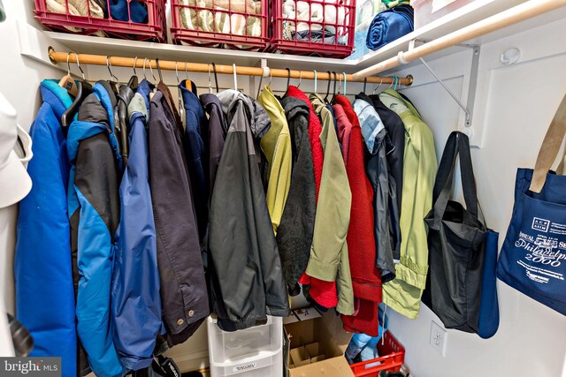 view of spacious closet