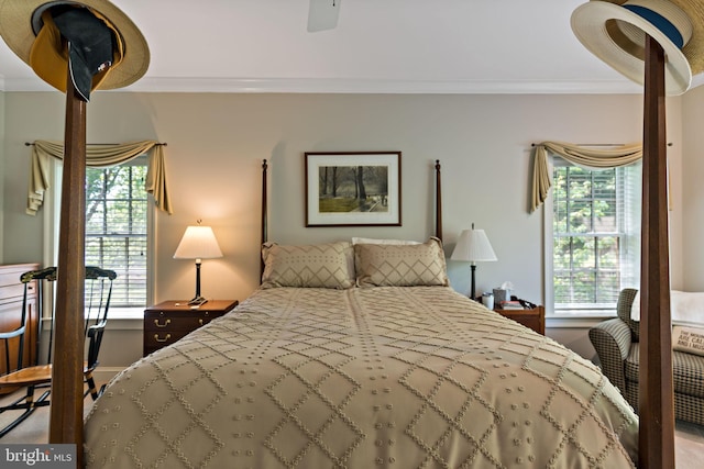 bedroom featuring crown molding, ceiling fan, and multiple windows