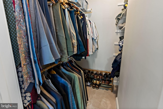spacious closet with carpet