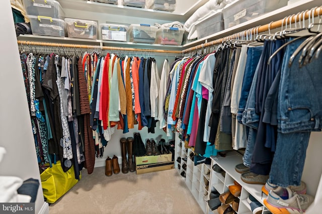 walk in closet with carpet flooring
