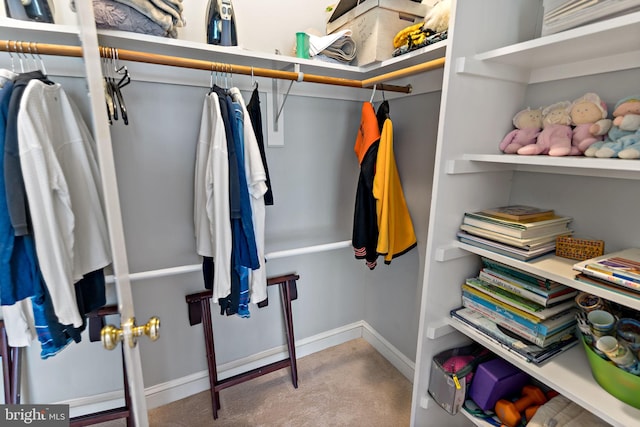 spacious closet with carpet flooring