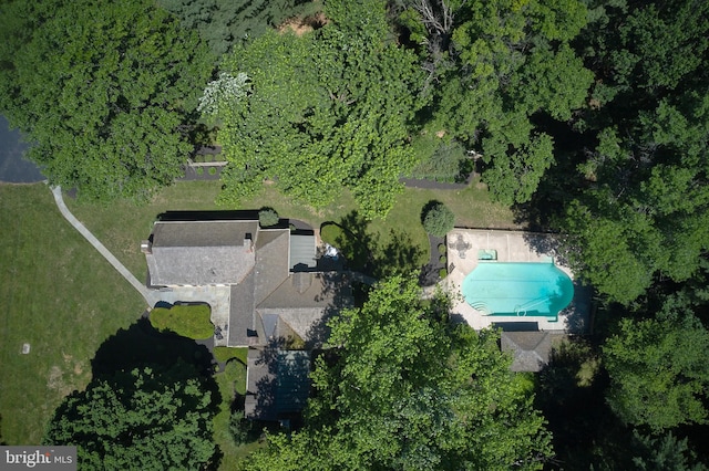 aerial view of a pool