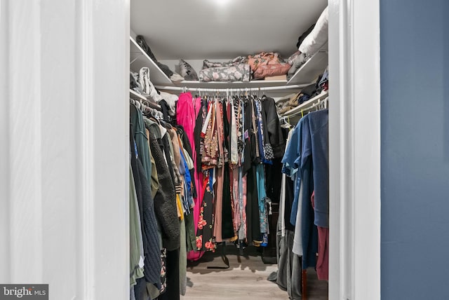 spacious closet featuring wood finished floors