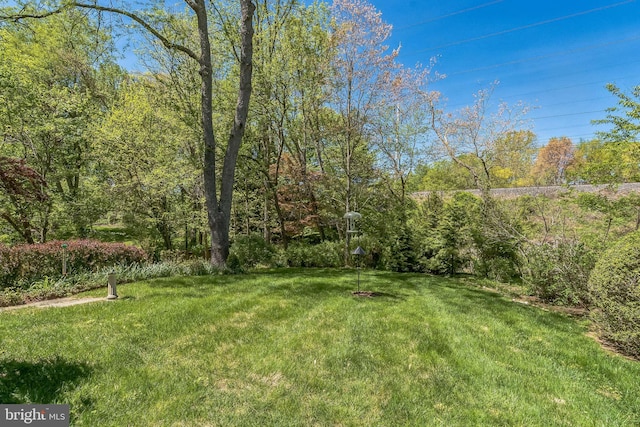 view of yard