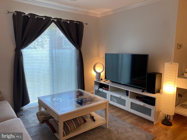 living room featuring crown molding and wood finished floors