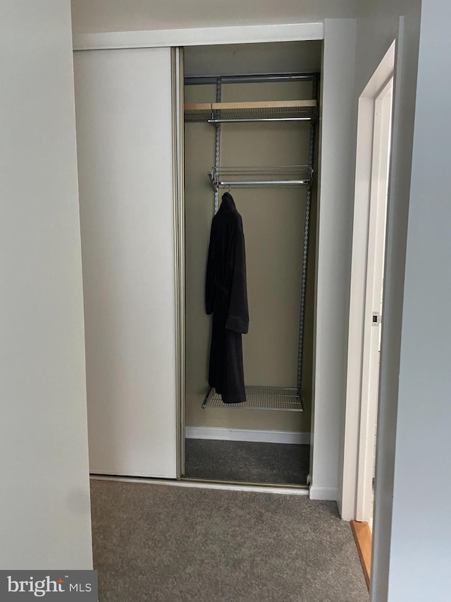 view of closet