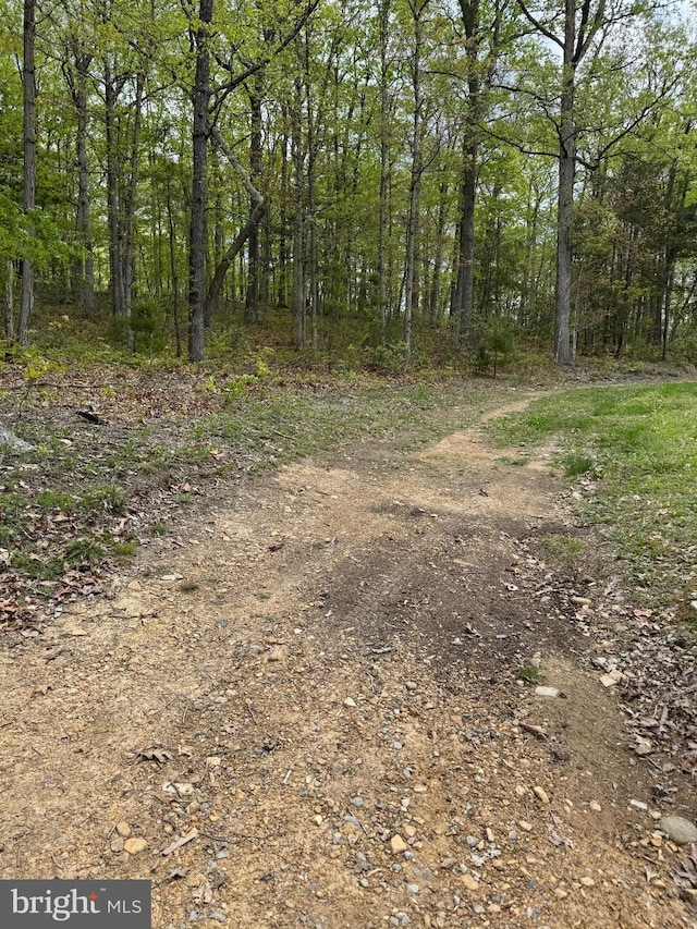 view of nature featuring a view of trees