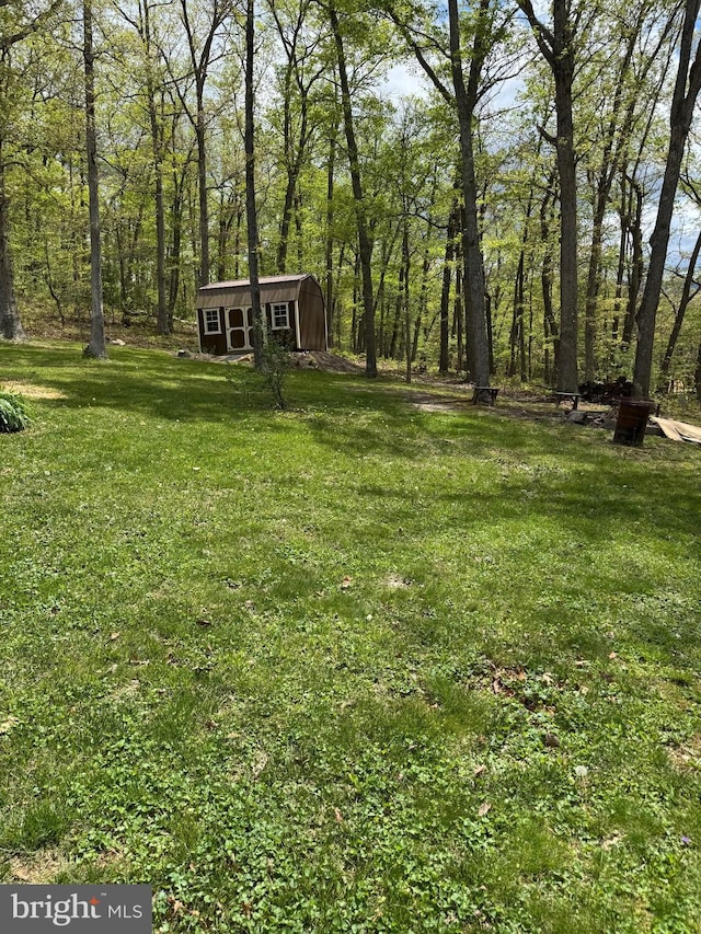 view of yard featuring an outdoor structure and a wooded view