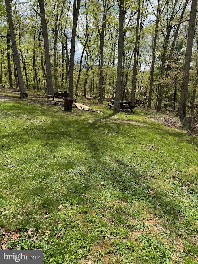 view of yard